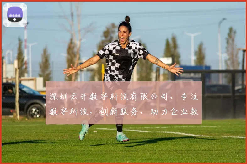 深圳云开数字科技有限公司，专注数字科技，创新服务，助力企业数字化转型，成就未来
