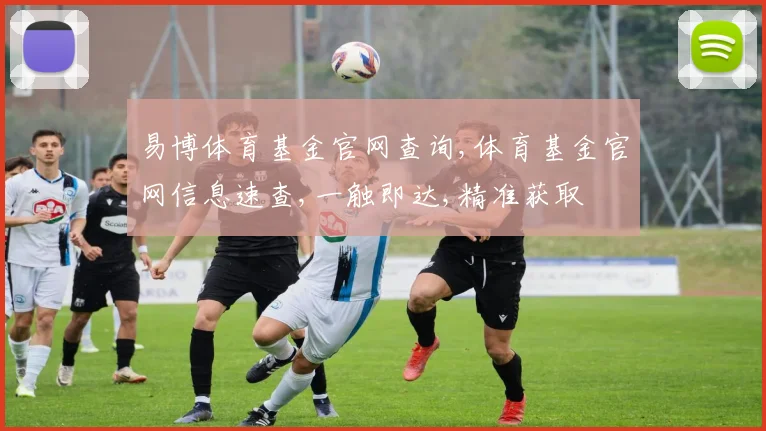易博体育基金官网查询,体育基金官网信息速查,一触即达,精准获取