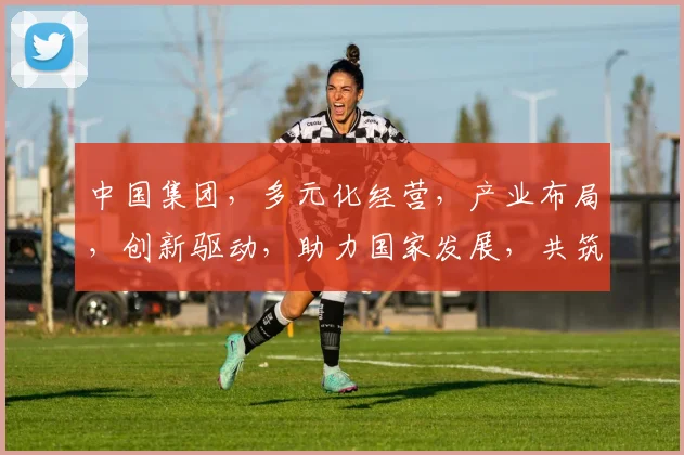 中国集团，多元化经营，产业布局，创新驱动，助力国家发展，共筑辉煌未来。