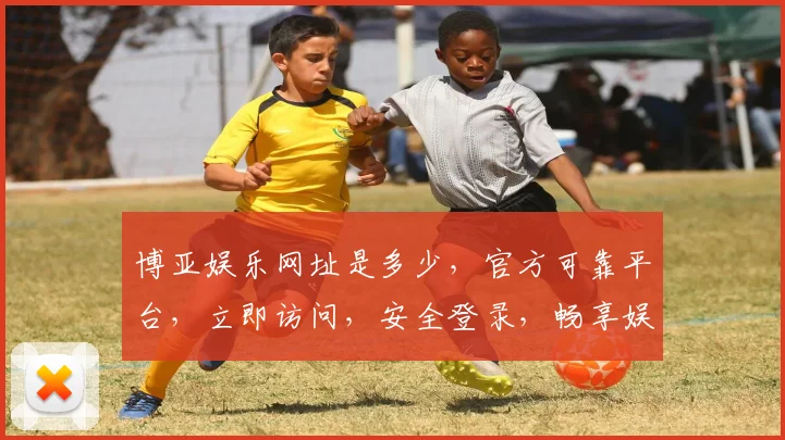 博亚娱乐网址是多少，官方可靠平台，立即访问，安全登录，畅享娱乐