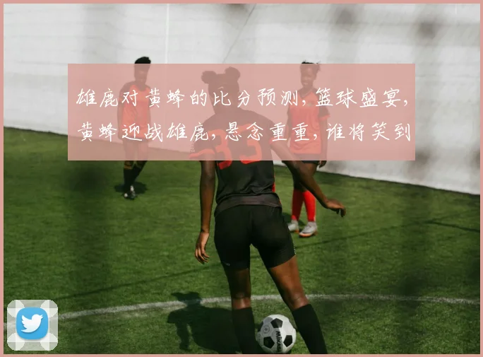 雄鹿对黄蜂的比分预测,篮球盛宴,黄蜂迎战雄鹿,悬念重重,谁将笑到最后